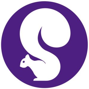Skill Squirrel logo image